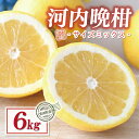 【ふるさと納税】 訳あり 河内晩柑 6kg サイズミックス 7000円 みかん かわちばんかん ミカン mikan わけあり 愛南ゴールド 家庭用 あいなん ゴ...