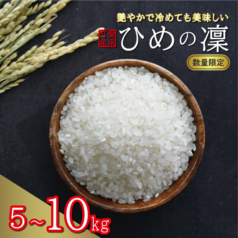 【ふるさと納税】 選べる 新米 令和7年産 ひめの凜 5kg 10kg 13000円 24000円 お米 白米 精米 米 こめ 期間限定 数量限定 特産品 令和...
