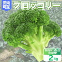【ふるさと納税】 ブロッコリー 2kg 朝採れ 当日 発送 新鮮 採れたて 産地直送 農家直送 国産 野菜 食感 茎 甘い 栄養満点 サラダ スープ お弁当 彩り野菜 離乳食 食事管理 おすすめ 緑黄色野菜 冷凍 保存 可能 ストック 便利 人気 期間限定 食卓 愛媛県 愛南町 愛なんよ