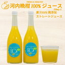 【ふるさと納税】 数量限定 河内晩柑 ( 愛南ゴールド ) ジュース 720ml 2本 セット 愛南 ゴールド オレンジジュース 柑橘 果汁 無添加 果汁 100% ジュース 贈答 ギフト プレゼント 愛媛 みかん 蜜柑 ゼリー 国産 みかんジュース 焼酎 蒸留酒 うみいろキャビン 愛媛県 愛南町