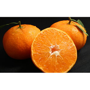 【ふるさと納税】 甘平 5kg 柑橘 果物 フルーツ 愛媛 特産品 JA農協 みかん 愛南町