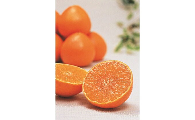 愛媛県愛南町の画像3