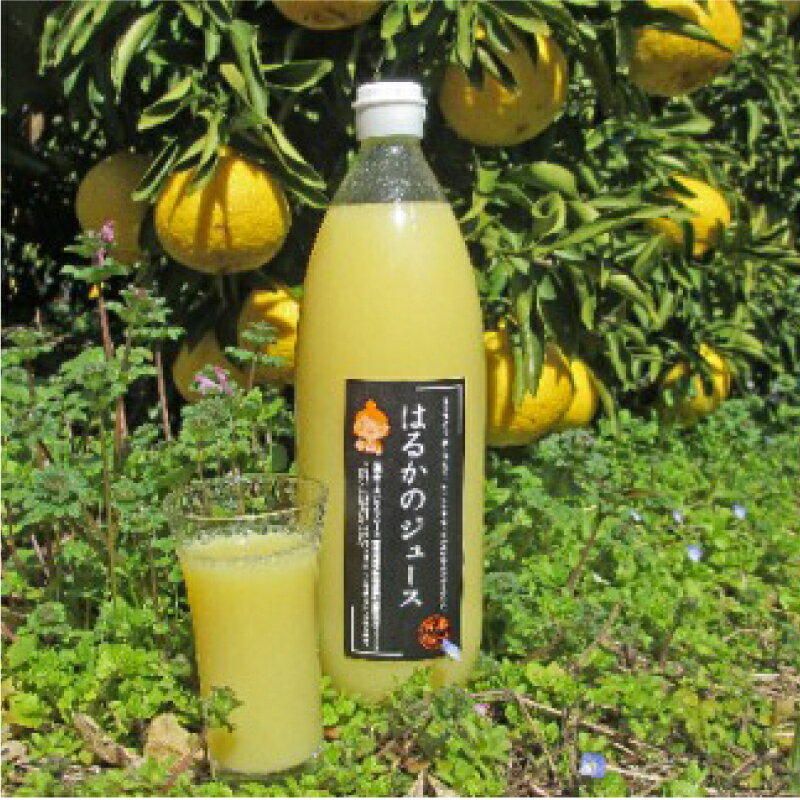 訳あり みかん 果汁 100% ストレート はるか ジュース 3本 セット ( 1000ml × 3本 )1万円 数量限定 期間限定 高級 贈答 ギフト プレゼント 母の日 おやつ 国産 フルーツ 果物 柑橘 完熟 濃厚 人気 甘い こどもの日 ジューシー 新鮮 果実 愛媛県 愛南町 あいなんマザーズ