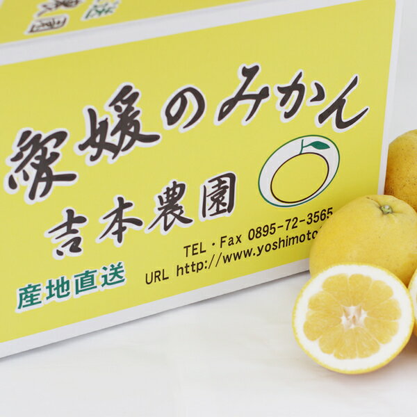 【ふるさと納税】【家庭用】吉本農園の愛南ゴールド　河内晩柑　5kg　晩柑　かわちばんかん　送料無料　和製　グレープフルーツ　愛媛県産　果物　柑橘　フルーツ　愛南町　特産品　お取り寄せ　愛媛みかん　みかん　お届け：4月10日〜8月15日･･･