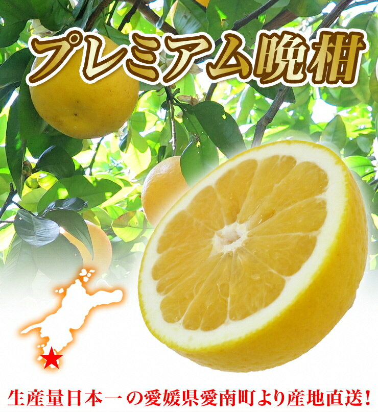 【ふるさと納税】 先行予約 清家ばんかんビレッジの河内晩柑プレミアム 10kg 晩柑 送料無料 和製 グレープフルーツ …