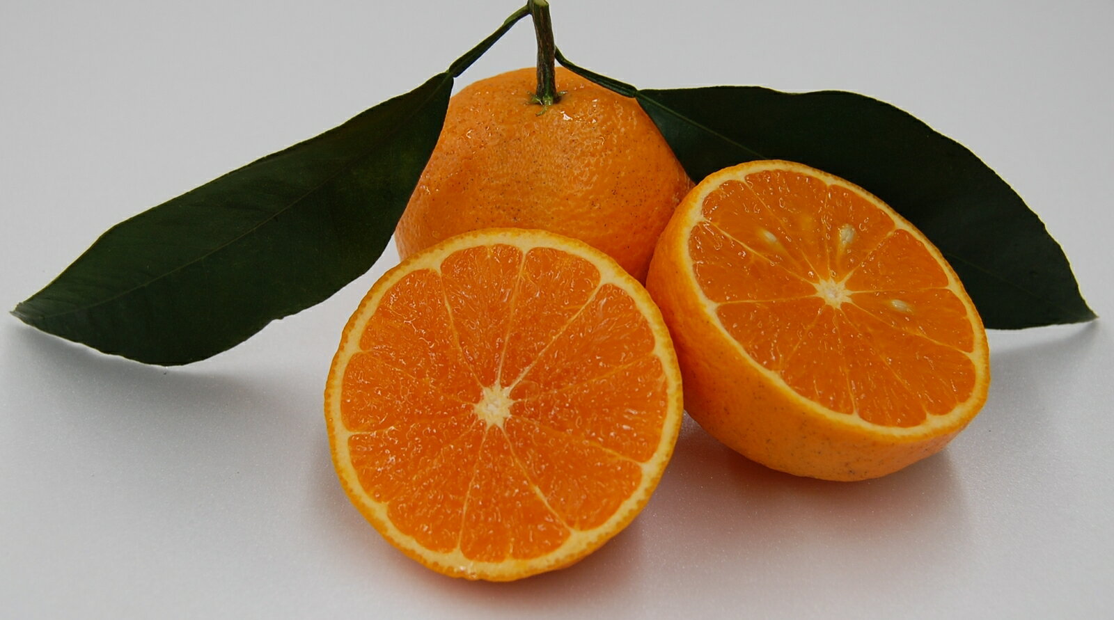 【ふるさと納税】 訳あり なつみ 3kg 柑橘 果物 国産 