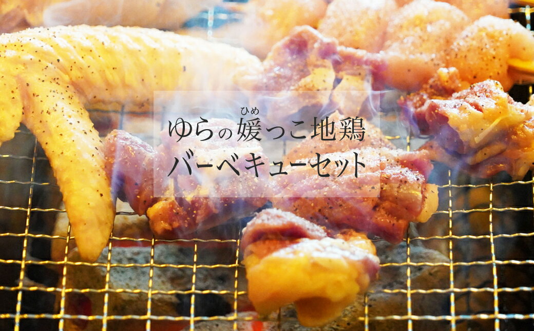 13位! 口コミ数「0件」評価「0」 地鶏 由良 媛っこ地鶏 1.5kg BBQ バーベキュー セット 鶏 軍鶏 名古屋 種 プリマスロック 四元交配 いいとこどり 歯ごたえ ･･･ 