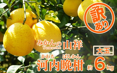 楽天ふるさと納税　【ふるさと納税】 先行予約 訳あり 家庭用 河内晩柑 大玉 2Lサイズ以上 6kg みかんの山祥 晩柑 かわちばんかん 和製 グレープフルーツ 果物 柑橘 フルーツ 特産品 デザート 愛媛 希少 日本一 美味しい ジューシー 発送期間: 2024年4月10日～8月10日 (なくなり次第終了)