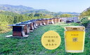【ふるさと納税】 国産 天然 里山 はちみつ 蜂蜜 450g あいなんの雫 純粋 朝しぼり 濃厚 熟成 贈答 ギフト 瓶 愛南町産 高品質 発送時期:2025年...