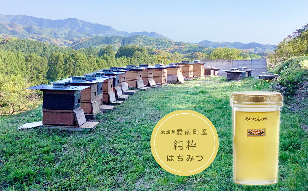 3位! 口コミ数「0件」評価「0」【 ふるさと納税 】 国産 天然 里山 はちみつ 蜂蜜 250g あいなんの雫 純粋 朝しぼり 濃厚 熟成 贈答 ギフト 瓶 愛南町産 高品･･･ 