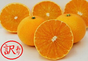 【ふるさと納税】訳あり品 みかん職人 の 夢オレンジ 3kg 果物 柑橘 みかん フルーツ お届け：11月20日〜2月15日