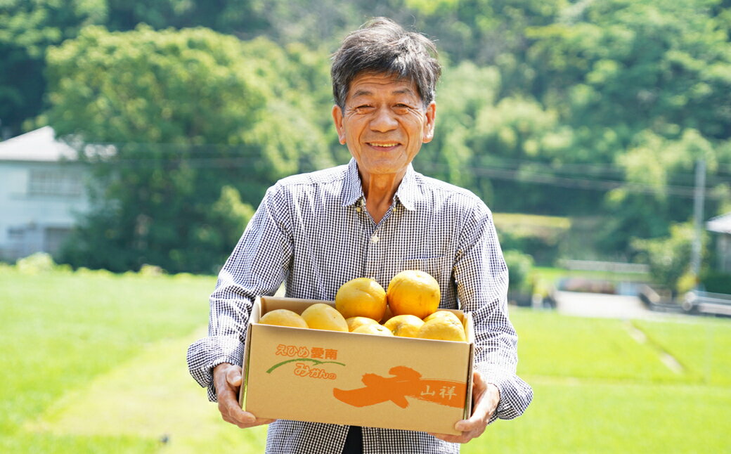 【ふるさと納税】 訳あり 家庭用 河内晩柑 中玉 サイズ ミックス 5kg みかんの山祥 晩柑 かわちばんかん 和製 グレープフルーツ 果物 柑橘 フルーツ 特産品 デザート 愛媛 希少 日本一 美味しい ジューシー 発送期間: 4月10日～8月10日 (なくなり次第終了)