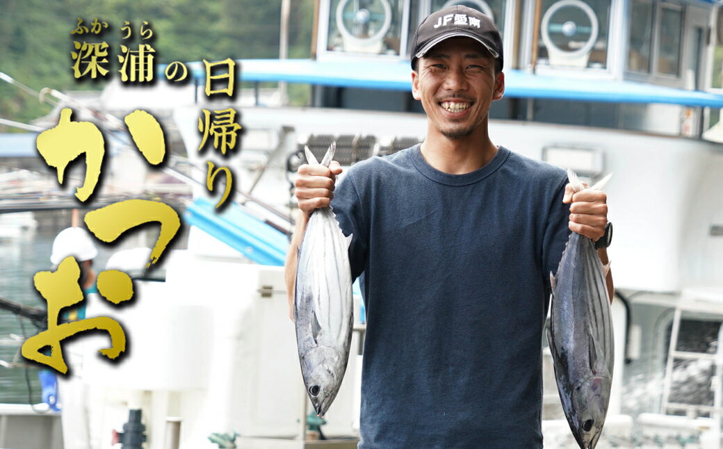 愛媛県愛南町のおすすめ返礼品検索 ふるさと納税コンシェルジュサイト ふるピタ