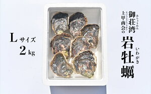 【ふるさと納税】 岩牡蠣 Lサイズ 2kg 以上 魚貝類 殻付き 牡蠣 かき BBQ 上甲商会 愛媛県 愛南町 発送期間: 5月中旬～8月下旬