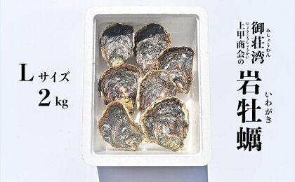 岩牡蠣 Lサイズ 2kg 以上 魚貝類 殻付き 牡蠣 かき BBQ 上甲商会 愛媛県 愛南町 発送期間: 4月下旬～