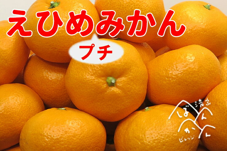 【ふるさと納税】清家ばんかんビレッジの愛媛プチみかん2.5kg