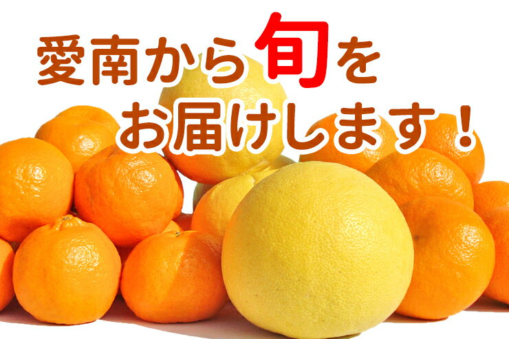 【ふるさと納税】 清家ばんかんビレッジ旬の柑橘詰め合わせ5kg まどんな みかん 蜜柑 ぽんかん はれひめ レモン 伊予柑 いよかん 文旦 不知火 デコポン せとか 河内晩柑 なつみ 柑橘 果物 フルーツ 果物 フルーツ 柑橘 発送期間: 2023年11月25日～2024年4月30日