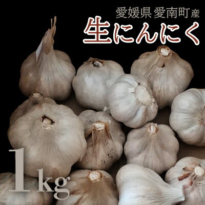 【ふるさと納税】 石川ファームの 愛南町産 生 にんにく 1kg 発送期間: 5月20日〜11月30日