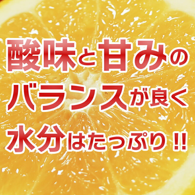 【ふるさと納税】 訳あり 河内晩柑 小粒っ子 10kg 小玉 柑橘 国産 愛媛 果物 フルーツ 特産品 みかん職人武田屋 おいしい ビタミン 傷 家庭用 送料無料 発送期間: 3月下旬～8月末 (なくなり次第終了)