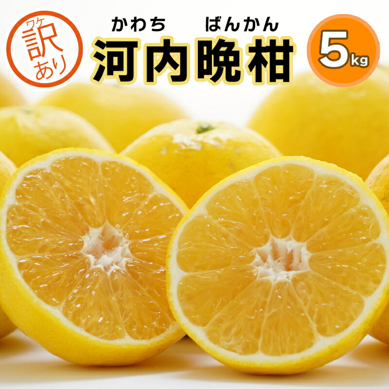 【ふるさと納税】【訳あり】みかん職人の河内晩柑 5kg 晩柑 かわちばんかん 送料無料 ご家庭用 和製 グレープフルーツ 愛媛県産 果物 柑橘 フルーツ 愛南町 特産品 お取り寄せ デザート 農産物 おいしい 愛媛みかん みかん 希少 日本一･･･