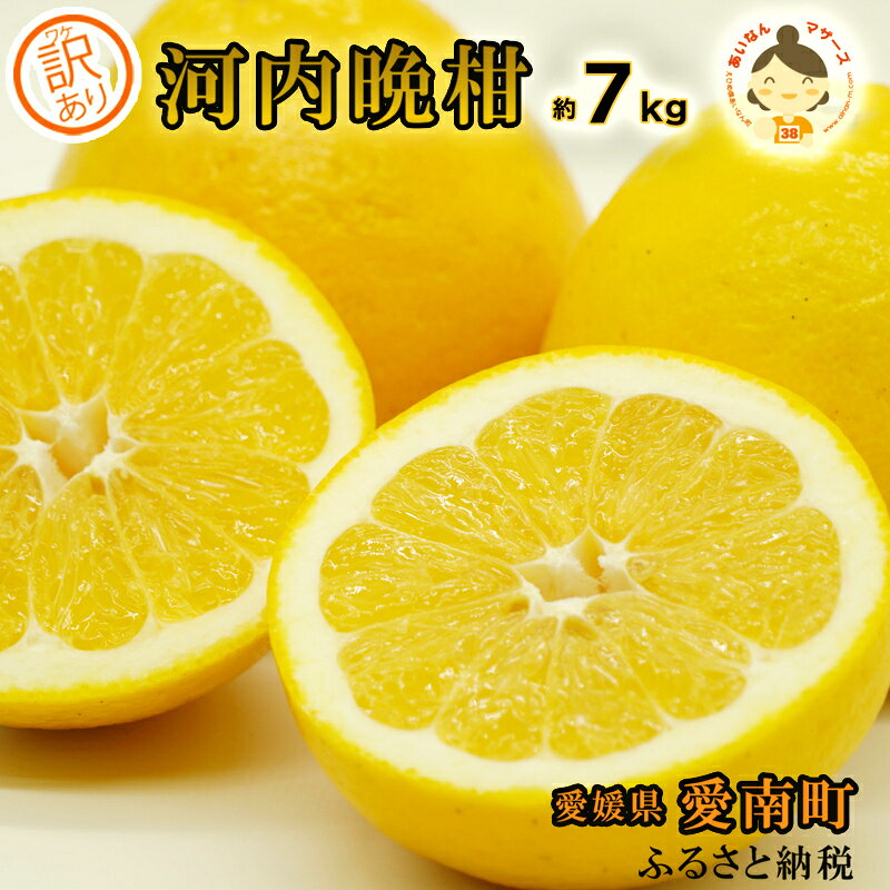 訳あり 河内晩柑 7kg 柑橘 和製 グレープフルーツ 国産 愛媛 果物 フルーツ 特産品 有名 あいなんマザーズ おいしい ビタミン 傷あり 家庭用 送料無料 発送期間：4月上旬〜8月上旬 (なくなり次第終了)
