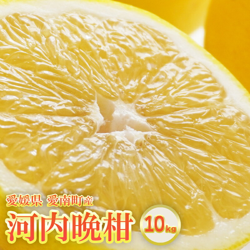 河内晩柑 約10kg 晩柑 かわちばんかん 柑橘 和製 グレープフルーツ 国産 愛媛 みかん 果物 果実 フルーツ 特産品 有名 フルーツ アイランド マルエム 直販 おいしい ビタミン 生産者 産地 直送 産直 お届け：2025年6月1日〜8月上旬 (なくなり次第終了)