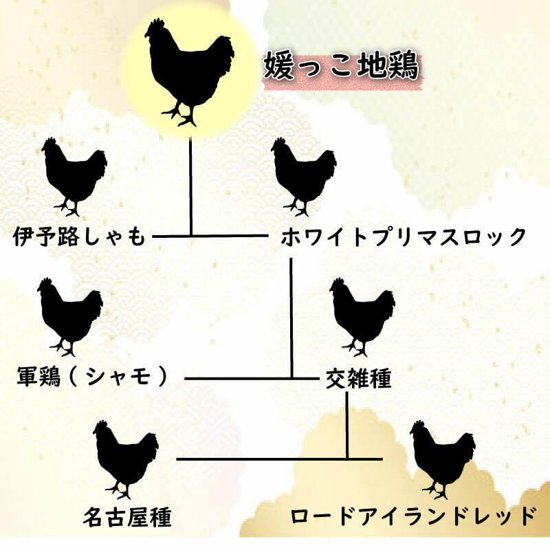 【ふるさと納税】 定期便 3ヶ月 最高級ブランド地鶏 媛っこ地鶏 セット3種（ ソーセージ ハーブ） 父の日