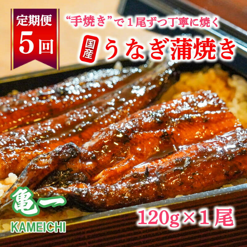 定期便 5回 国産 うなぎ 鰻 蒲焼 蒲焼き かば焼き120g 1本 土用 丑の日 老舗 亀一 特製 タレ 真空パック ひつまぶし ギフト 贈答 冷凍 お取り寄せ お祝い