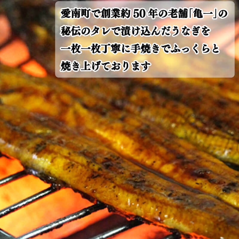 【ふるさと納税】 定期便 5回 国産 うなぎ 鰻 蒲焼 蒲焼き かば焼き120g 1本 土用 丑の日 老舗 亀一 特製 タレ 真空パック ひつまぶし ギフト 贈答 冷凍 お取り寄せ お祝い