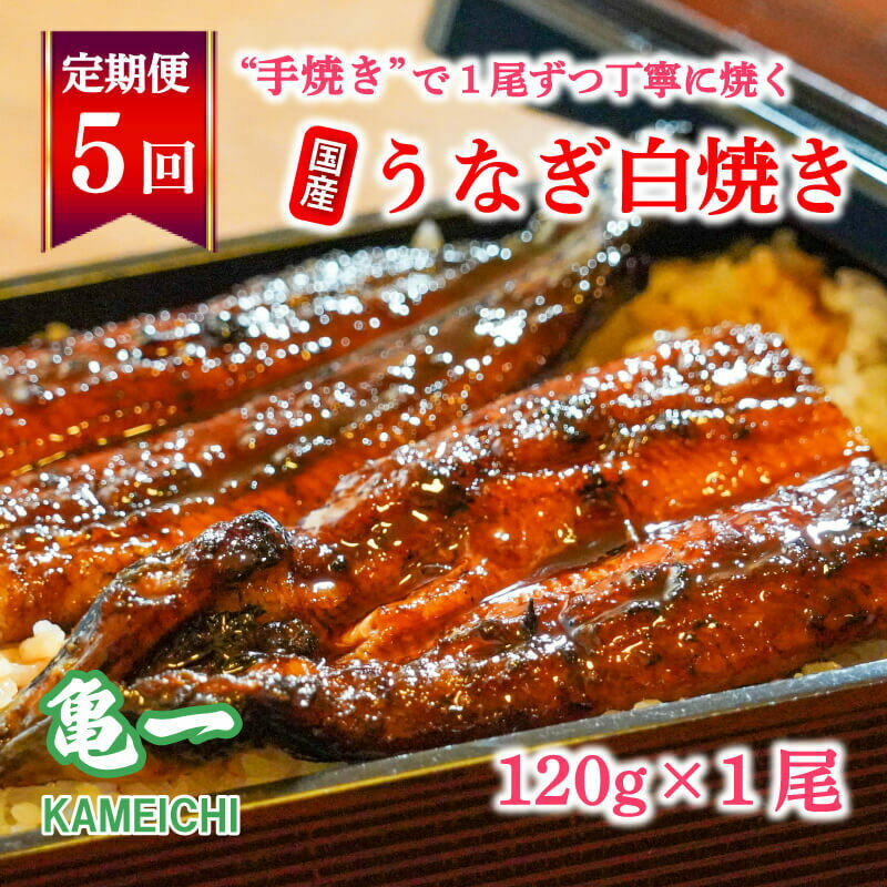 定期便 5回 国産 うなぎ 鰻 白焼 白焼き しら焼き120g 1本 土用 丑の日 老舗 亀一 特製 タレ 真空パック ひつまぶし ギフト 贈答 冷凍 お取り寄せ お祝い