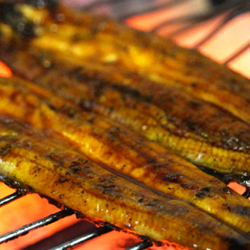 【ふるさと納税】 定期便 5回 国産 うなぎ 鰻 白焼 白焼き しら焼き120g 1本 土用 丑の日 老舗 亀一 特製 タレ 真空パック ひつまぶし ギフト 贈答 冷凍 お取り寄せ お祝い