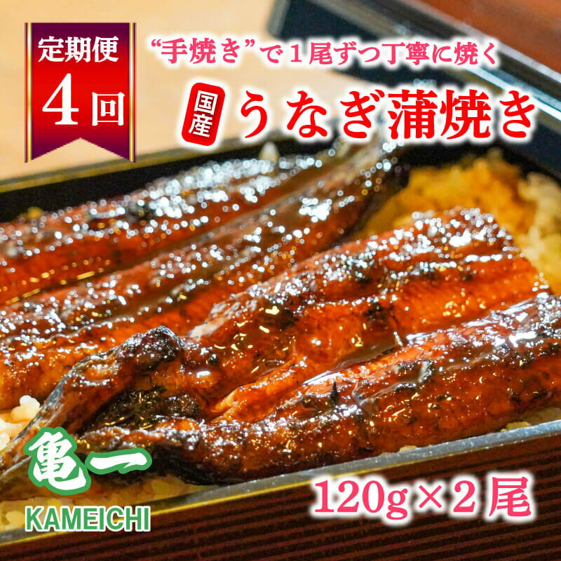 定期便 4回 国産 うなぎ 鰻 蒲焼 蒲焼き かば焼き120g 2本 土用 丑の日 老舗 亀一 特製 タレ 真空パック ひつまぶし ギフト 贈答 冷凍 お取り寄せ お祝い