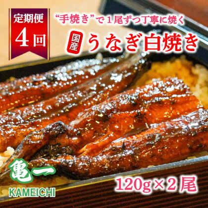 定期便 4回 国産 うなぎ 鰻 白焼 白焼き しら焼き120g 2本 土用 丑の日 老舗 亀一 特製 タレ 真空パック ひつまぶし ギフト 贈答 冷凍 お取り寄せ お祝い