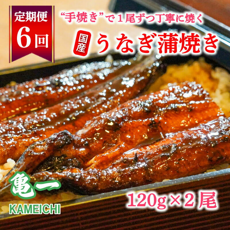 定期便 6回 国産 うなぎ 鰻 蒲焼 蒲焼き かば焼き120g 2本 土用 丑の日 老舗 亀一 特製 タレ 真空パック ひつまぶし ギフト 贈答 冷凍 お取り寄せ お祝い