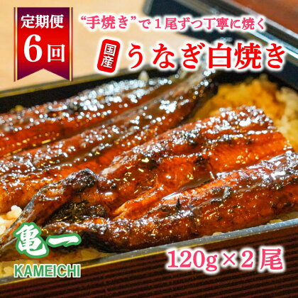 定期便 6回 国産 うなぎ 鰻 白焼 白焼き しら焼き120g 2本 土用 丑の日 老舗 亀一 特製 タレ 真空パック ひつまぶし ギフト 贈答 冷凍 お取り寄せ お祝い