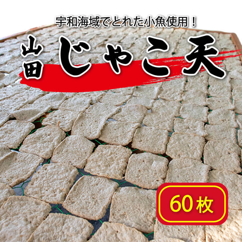 【ふるさと納税】 山田のじゃこ天 60枚 じゃこ天 すり身 さつま揚げ 郷土料理 おつまみ 肴 魚肉練り製品 揚げかまぼこ 愛媛県 南予 愛南町 特産品 お取り寄せ 送料無料 おいしい