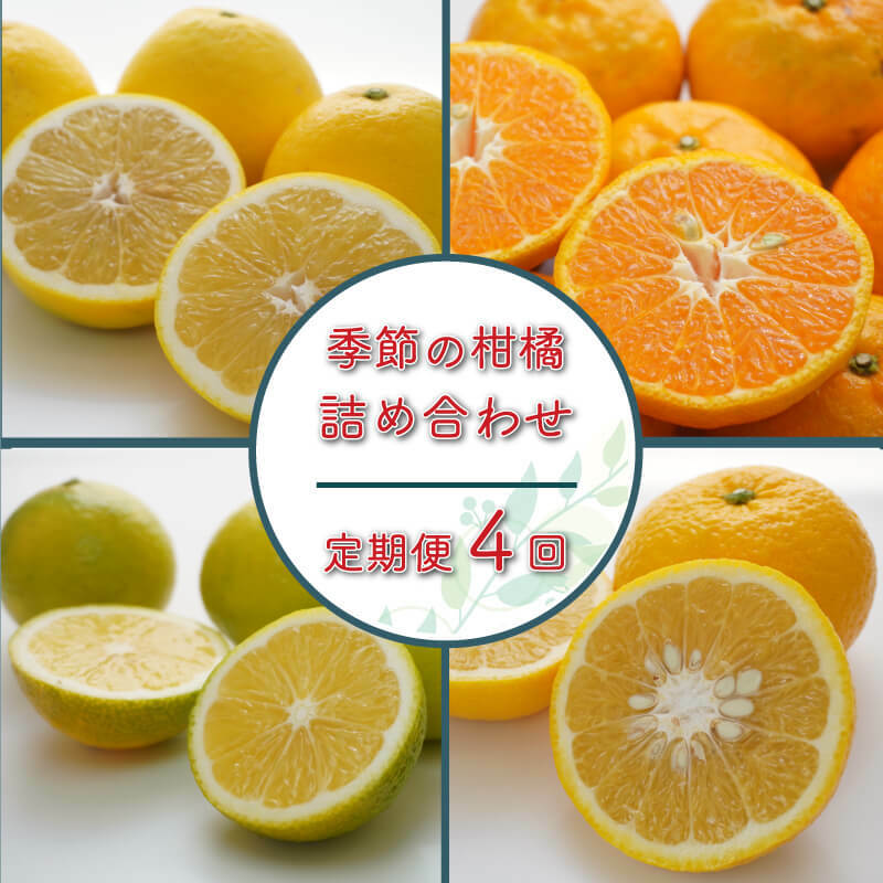 【ふるさと納税】 定期便 4回 季節 お楽しみ 柑橘 詰め合わせ 第一マルエム 減農薬 はるか あまか ポンカン 伊予柑 ネーブル 文旦 新女王 黄金柑 清見 甘夏 御荘ゴールド 河内晩柑 タロッコ レモネード 愛媛県 愛南町