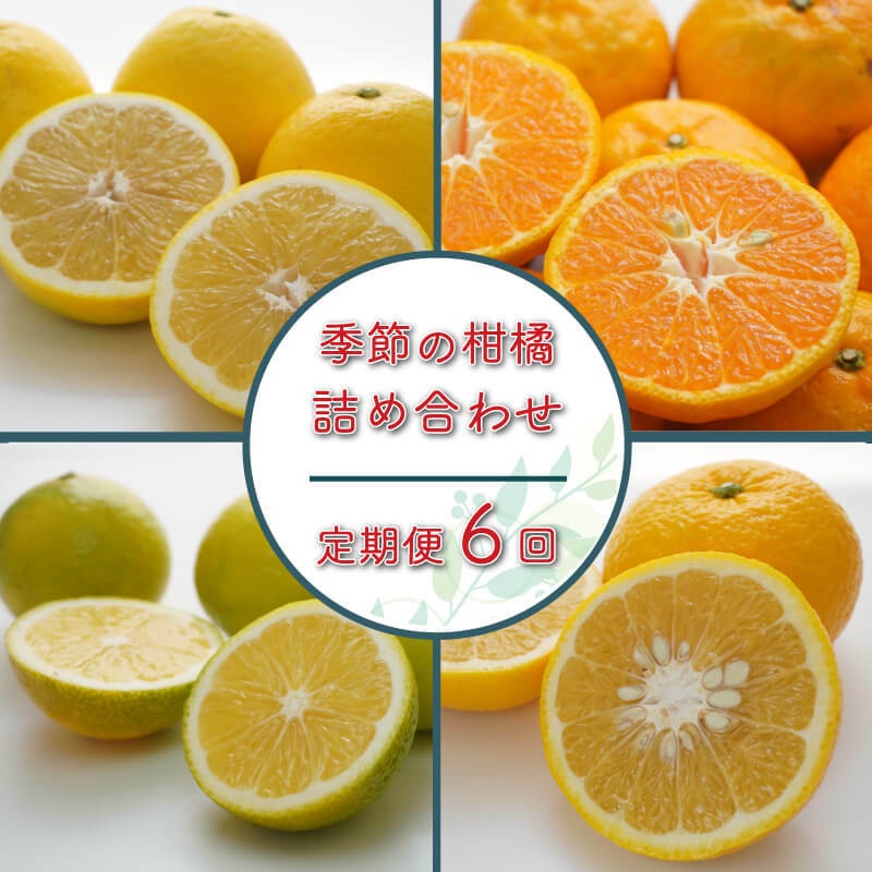 2位! 口コミ数「1件」評価「5」 定期便 6回 季節 お楽しみ 柑橘 詰め合わせ 第一マルエム 減農薬 はるか 御荘ゴールド ジュース レモン かぶす ゆず あまか ポンカ･･･ 