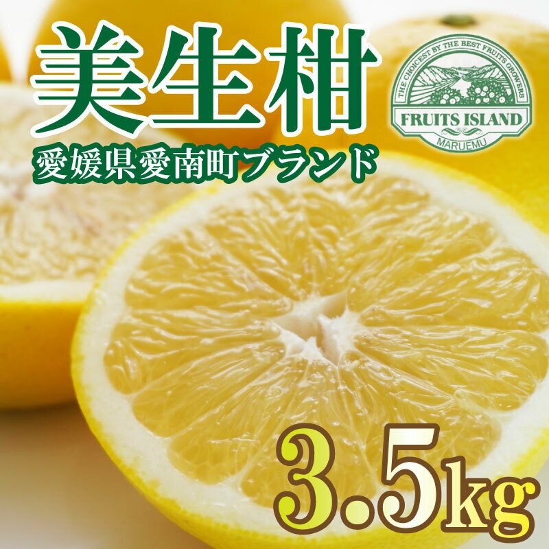 先行予約 美生柑 みしょうかん 約 3.5kg 贈答 ギフト 正規品 河内晩柑 ばんかん フルーツ 果物 くだもの 文旦 晩生柑 厳選 愛媛 みかん 蜜柑 愛南 ご当地 ブランド 母の日 (なくなり次第終了) 発送期間:2024年3月1日〜5月下旬