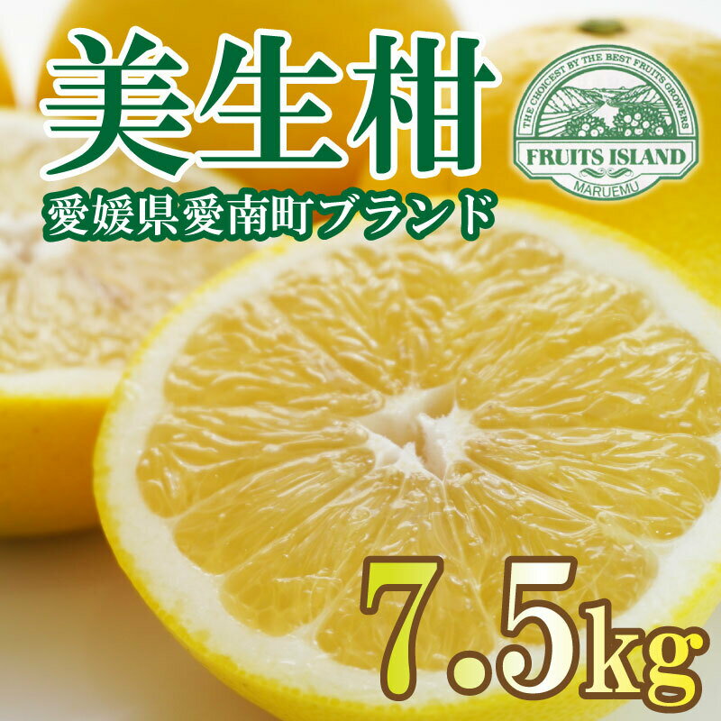 先行予約 美生柑 みしょうかん 約 7.5kg 贈答 ギフト 正規品 河内晩柑 ばんかん フルーツ 果物 くだもの 文旦 晩生柑 厳選 愛媛 みかん 蜜柑 愛南 ご当地 ブランド 母の日 発送期間:2024年3月1日〜5月下旬 (なくなり次第終了)