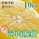 【ふるさと納税】 訳あり 河内晩柑 ばんかん 約 10kg 不揃い 大小ミックス 傷あり 柑橘 かんきつ フルーツ 果物 くだもの 厳選 愛媛 みかん 蜜柑 愛南 ご当地 ブランド 野菜 サラダ ピール ゼリー お菓子 デザート