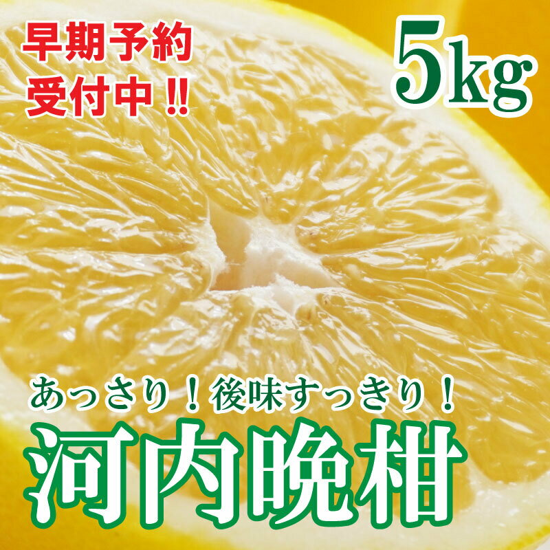 【ふるさと納税】 河内晩柑 ばんかん 約 5kg 家庭 柑橘 かんきつ フルーツ 果物 くだもの 厳選 愛媛 みかん 蜜柑 愛南 ご当地 ブランド 野菜 サラダ ピール ゼリー お菓子 デザートのサムネイル