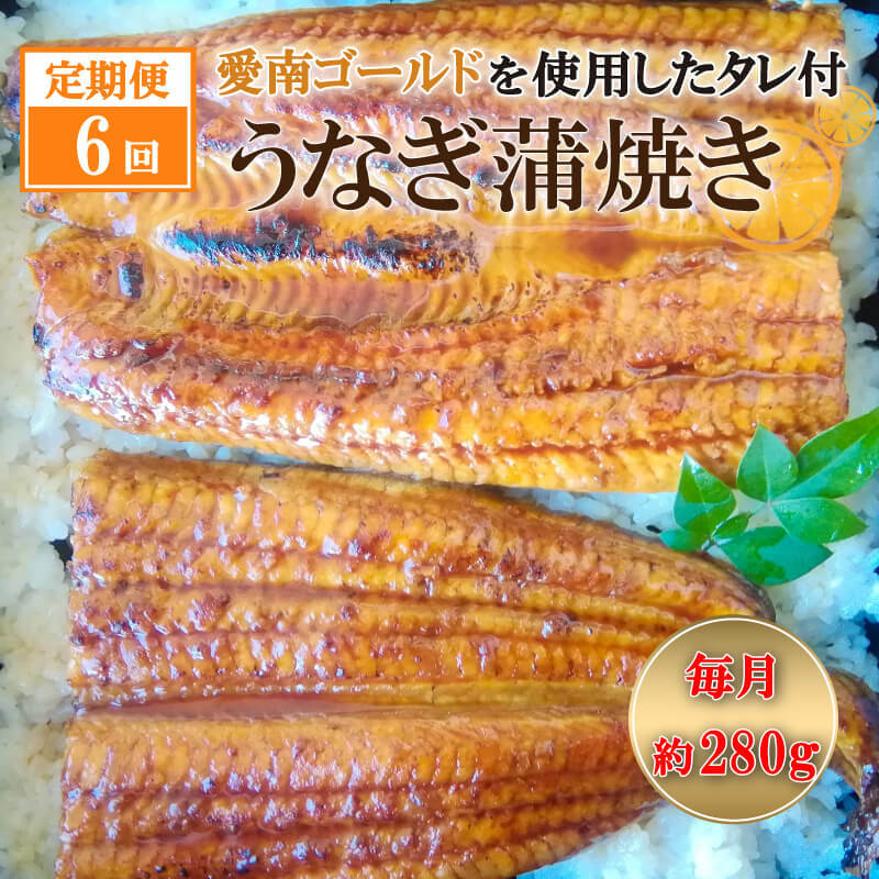 【ふるさと納税】 定期便 6回 四万十 うなぎ 愛南ゴールド 入り うなぎのたれ セット 鰻 ギフト パック 冷凍 湯煎