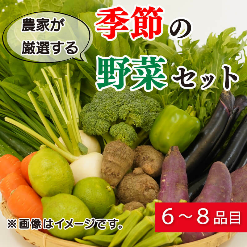 【ふるさと納税】 野菜 詰め合わせ セット 6〜8種 緑新鮮市 キャベツ 人参 にんじん きゅうり じゃがいも なす ほうれん草 小松菜 ピーマン かぼちゃ 白菜 大根 さつまいも 玉ねぎ たまねぎ ブロッコリー トマト オクラ レモン ネギ 生姜 栗 愛媛県 愛南町