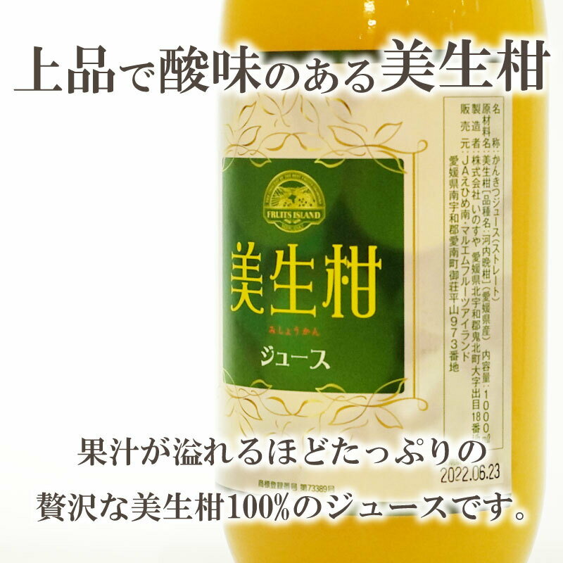 【ふるさと納税】 先行予約 美生柑 みしょうかん ジュース 1,000ml × 2本 河内晩柑 ばんかん 柑橘 かんきつ 果汁100% 愛媛 みかん 蜜柑 贈答 ギフト プレゼント 母の日 敬老の日 お歳暮 お中元 国産 愛南 発送2024年4月下旬～