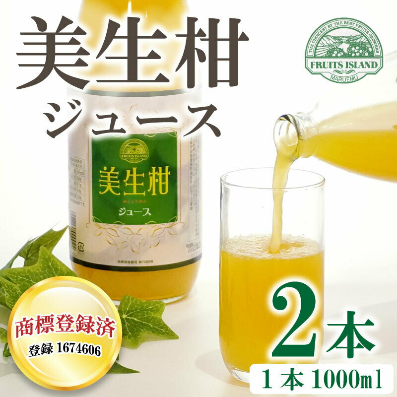 【ふるさと納税】 先行予約 美生柑 みしょうかん ジュース 1,000ml × 2本 河内晩柑 ばんかん 柑橘 かんきつ 果汁100% 愛媛 みかん 蜜柑 贈答 ギフト プレゼント 母の日 敬老の日 お歳暮 お中元 国産 愛南 発送2024年4月下旬～