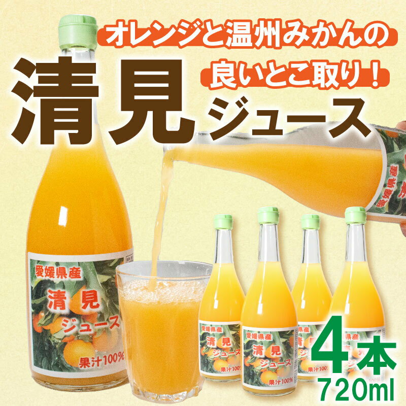 楽天愛媛県愛南町【ふるさと納税】 オレンジ ジュース 清見オレンジ 720ml × 4本 果汁100％ 柑橘 かんきつ 愛媛 みかん 蜜柑 贈答 ギフト 父の日 母の日 敬老の日 お歳暮 お中元 国産 愛南