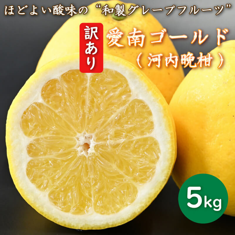 【ふるさと納税】 先行予約 訳あり 河内晩柑 5kg かわちばんかん サイズ ミックス 混合 不揃い 柑橘 愛南ゴールド 和…