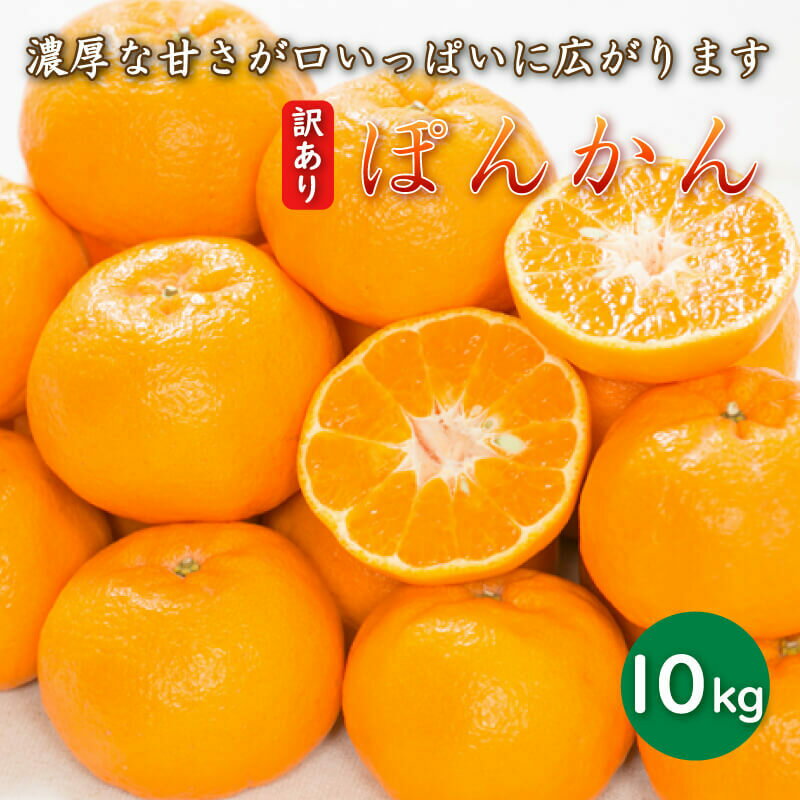 【ふるさと納税】 先行予約 訳あり 減農薬 ポンカン 10kg 愛南フルーツ サイズミックス サイズ混合 不揃い 柑橘 蜜柑 愛媛 みかん 産地 産直 発送期間：1月5日〜 2月10日･･･