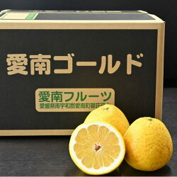 【ふるさと納税】 先行予約 訳あり 減農薬 河内晩柑 10kg 愛南フルーツ サイズミックス サイズ混合 不揃い 柑橘 蜜柑 愛南ゴールド 和製 グレープフルーツ 産地 産直 発送期間: 4月20日〜5月20日･･･ 画像1